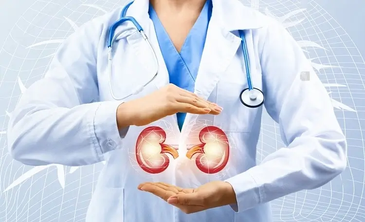 seo for nephrologists: CGI image of doctor with kidneys.